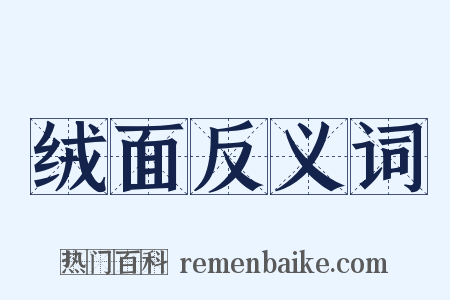 绒面反义词是什么意思的图片